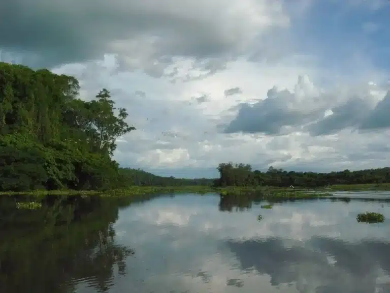 Titre principal : Découvrez un havre de paix avec une vue imprenable sur le lac Vinanibe